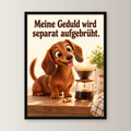 Geduldsbrüher – Gerahmtes Dackelbild – Frontalansicht im schwarzen Holzrahmen, ohne Passepartout; M 30×40, L 45×60 und XL 60×80 cm.