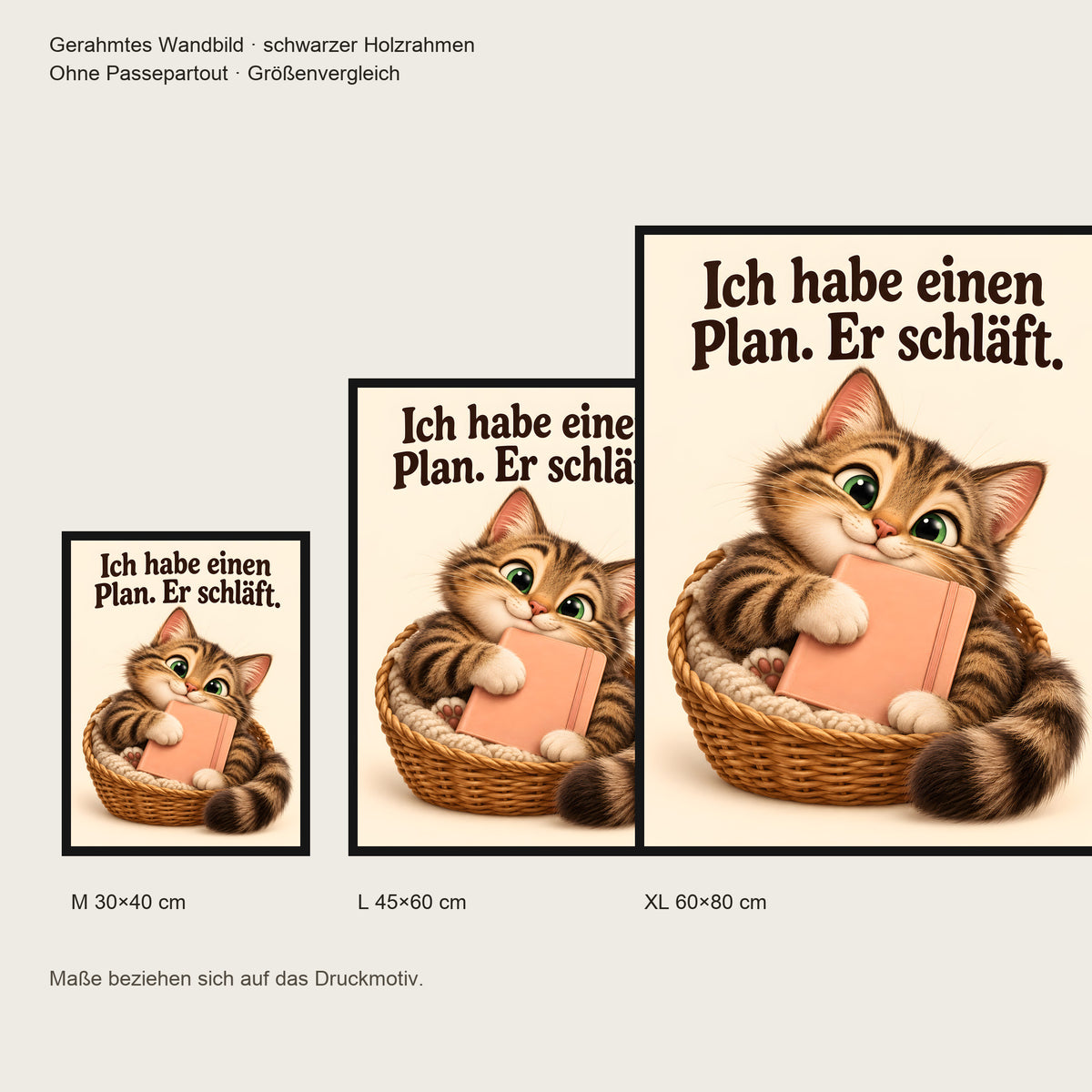 Plan in Pause – Gerahmtes Katzenbild. Spruch: Ich habe einen Plan. Er schläft. Schwarzer Rahmen ohne Passepartout. 5 GROESSEN. M 30×40, L45×60, XL60×80 cm.