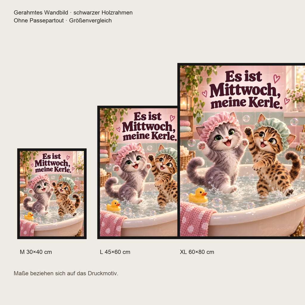Badeparty – Gerahmtes Katzenbild. Spruch: Es ist Mittwoch, meine Kerle. Schwarzer Rahmen ohne Passepartout. 5 GROESSEN. M 30×40, L45×60, XL60×80 cm.