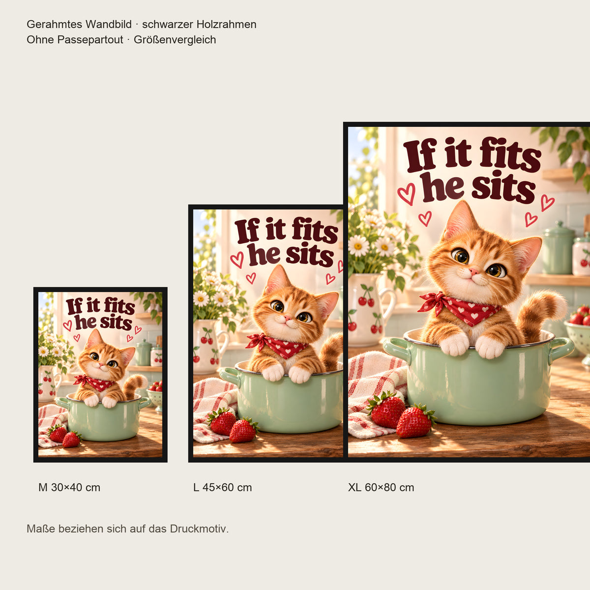 Topfbesetzer – Gerahmtes Katzenbild. Spruch: If it fits he sits Schwarzer Rahmen ohne Passepartout. 5 GROESSEN. M 30×40, L45×60, XL60×80 cm.