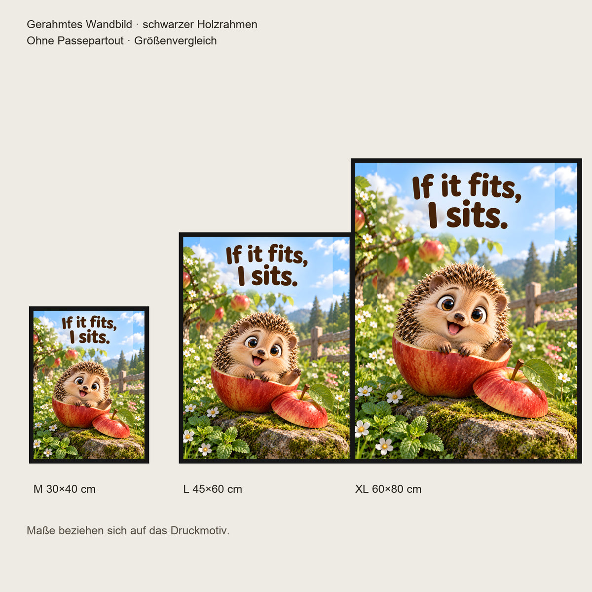 Passt schon – Gerahmtes Igelbild. Spruch: If it fits, I sits. Größenvergleich. Schwarzer Holzrahmen ohne Passepartout. 4 GROESSEN