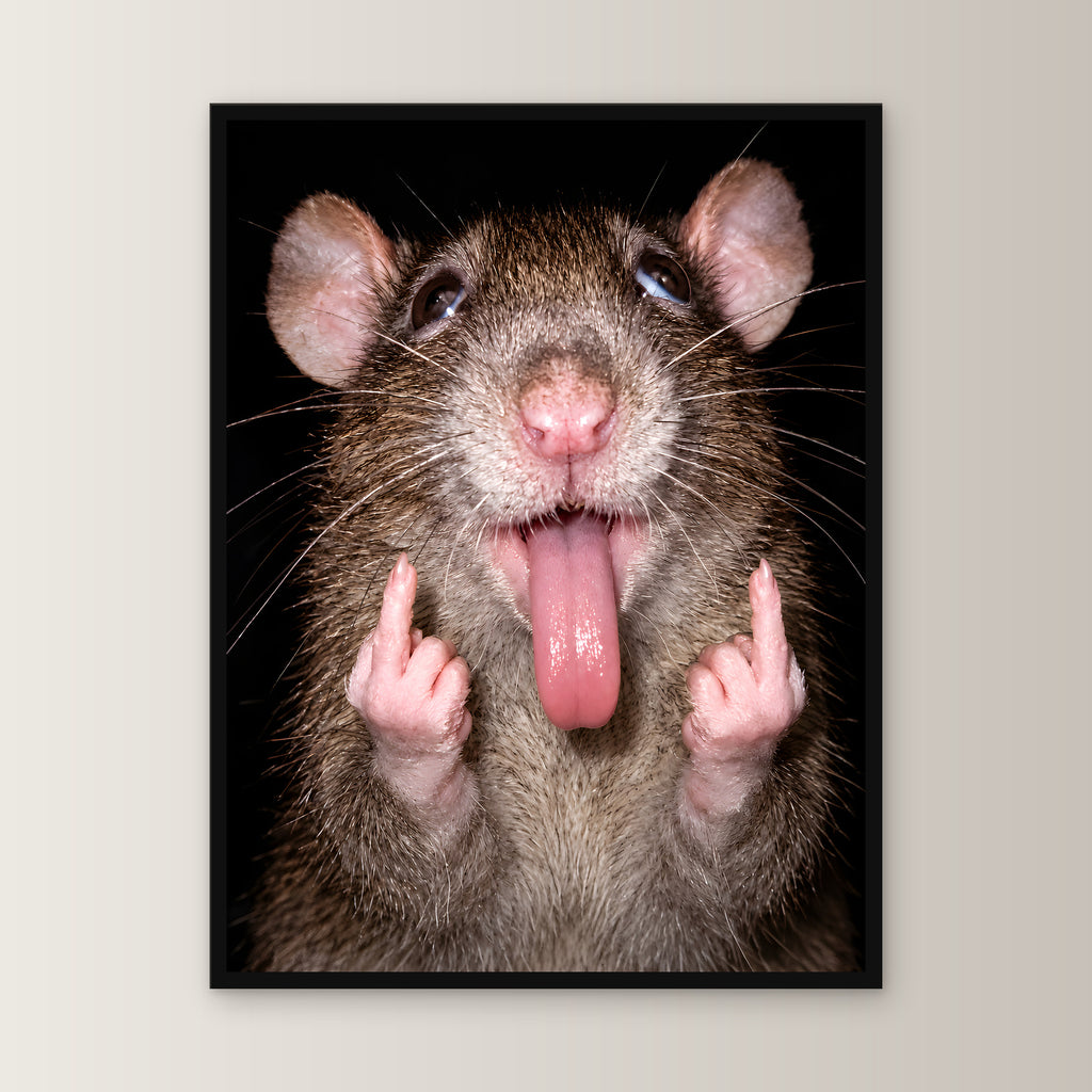 Freche Ratte – Gerahmtes Wandbild. 45×60 cm. Schwarzer Holzrahmen ohne Passepartout. Frontalansicht. KI-Motiv.