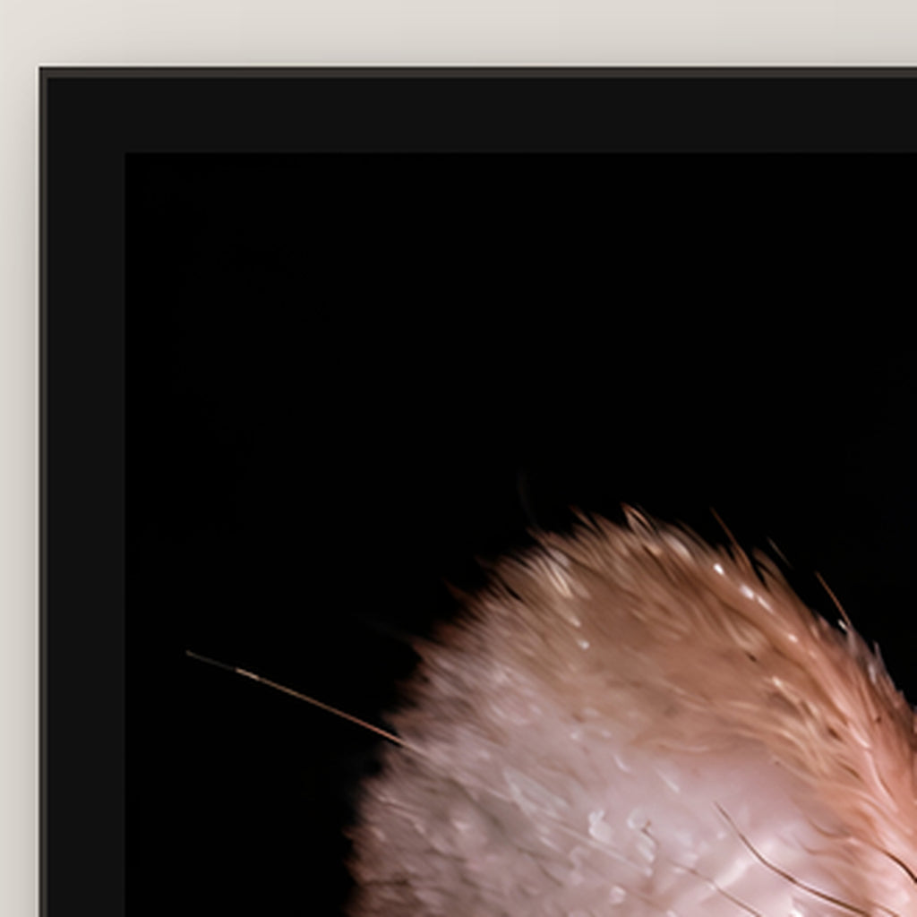 Freche Ratte – Gerahmtes Wandbild. 45×60 cm. Schwarzer Holzrahmen ohne Passepartout. Rahmen- und Motivdetail. KI-Motiv.