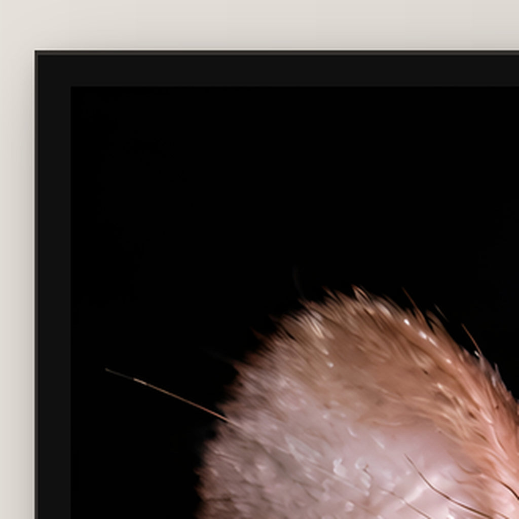 Freche Ratte – Gerahmtes Wandbild. 60×80 cm. Schwarzer Holzrahmen ohne Passepartout. Rahmen- und Motivdetail. KI-Motiv.