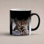 Wütende Bettkatze – Tasse mit Spruch. Zaubertasse: Wärmeeffekt. 6 WAERMEEFFEKT. KI-Motiv.