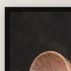 Ratte mit Mittelfinger – Gerahmtes Wandbild. 60×80 cm. 3 DETAIL. KI-Motiv.